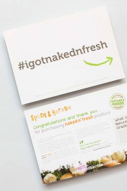 Print Design Graphic Design