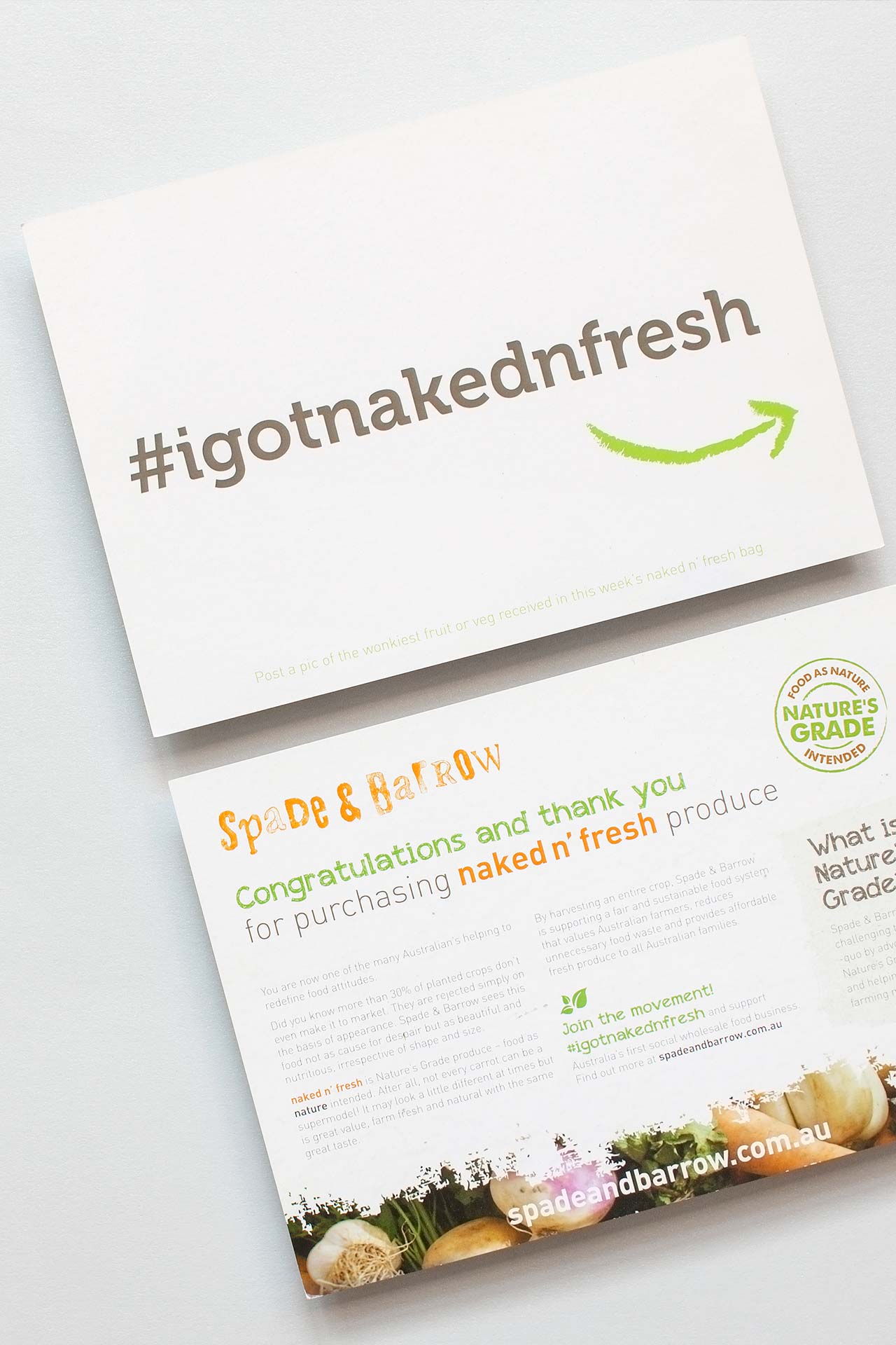 Print Design Graphic Design