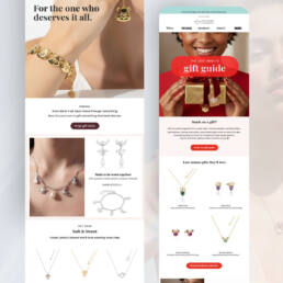 Klaviyo Email Marketing